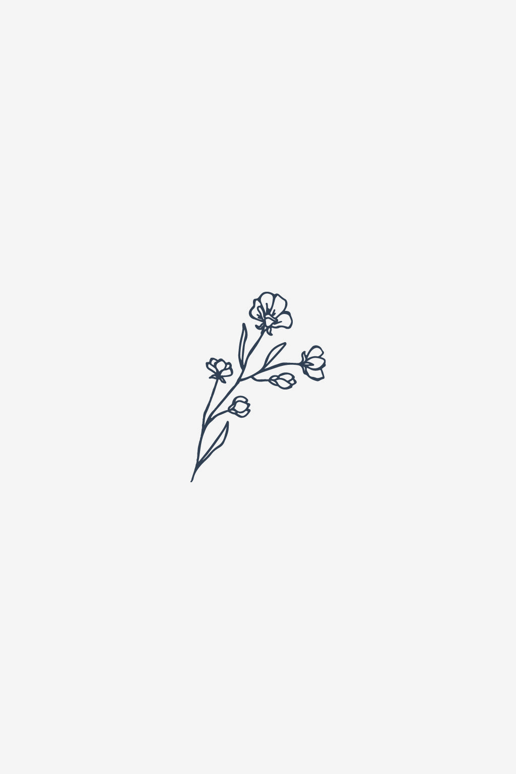 Delicate Branch