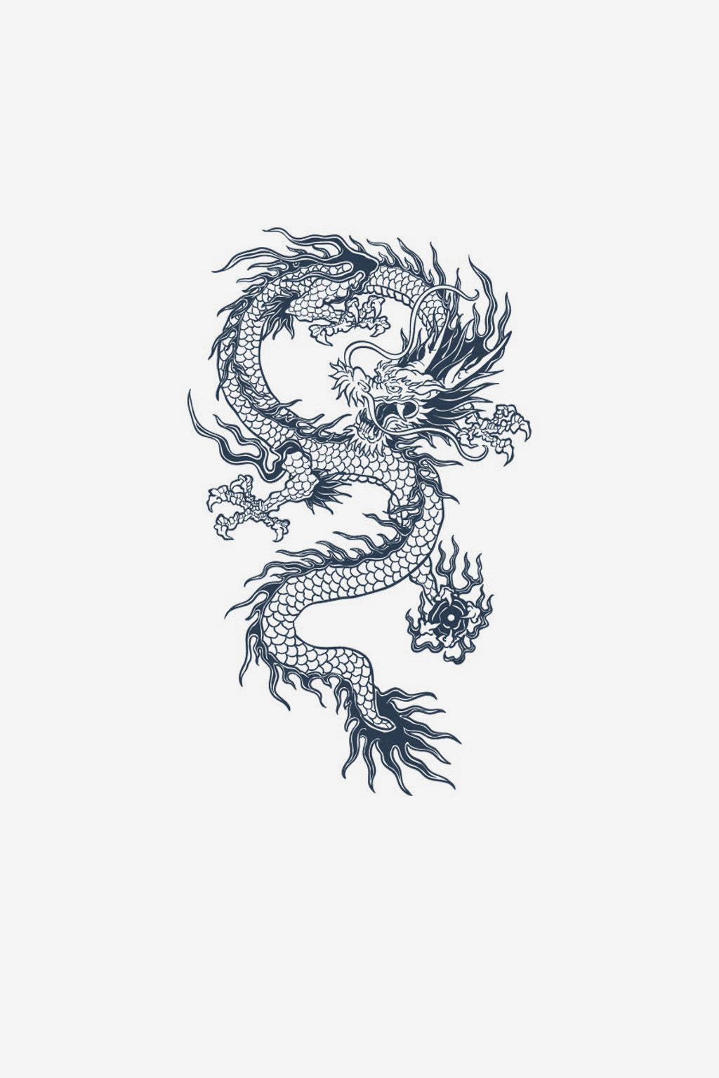 Dragon 3