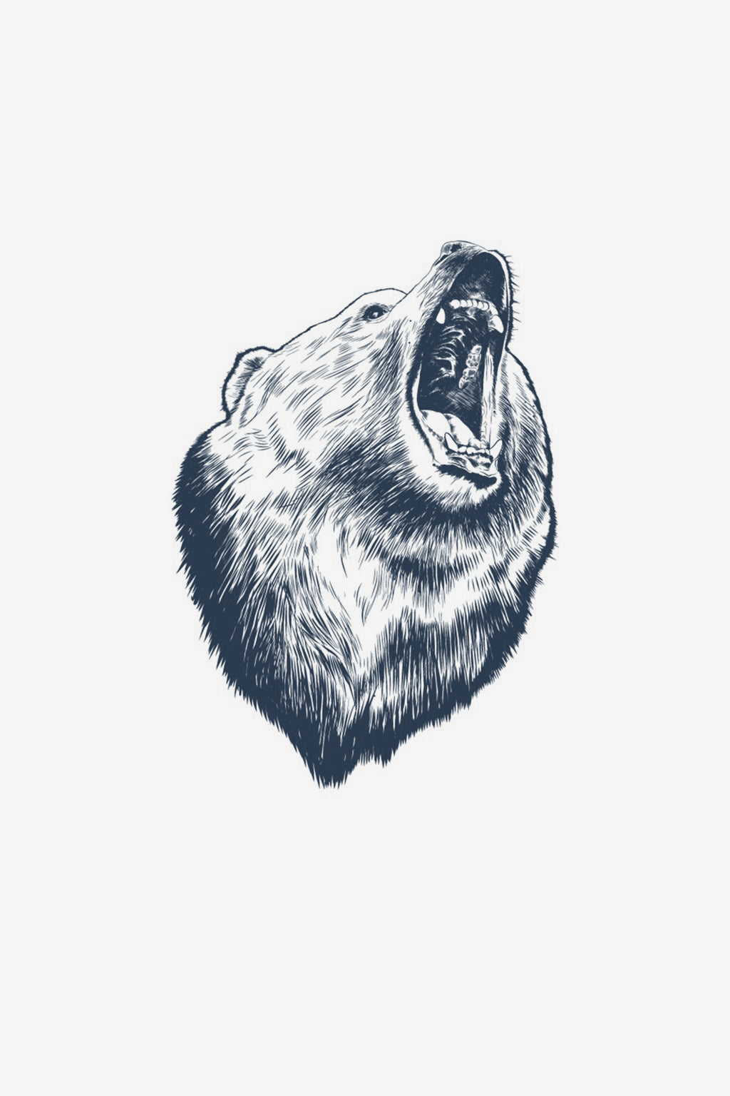 Spirit of the Forest