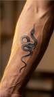 Graceful Snake
